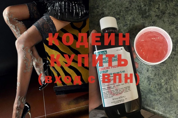 тгк Нея