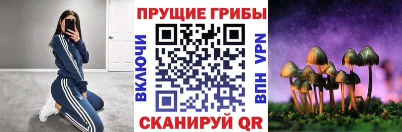 Галлюциногенные грибы Psilocybine cubensis МЕГА зеркало Майкоп