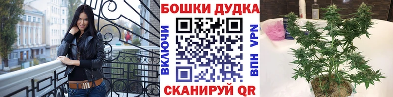 даркнет сайт  Майкоп  Конопля ГИДРОПОН 